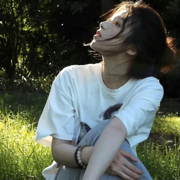 棕榈树森林